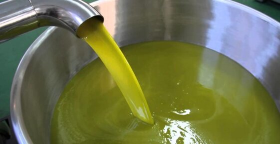 816e4c31-0fd6-4f47-8b4d-9a8e551a6e48