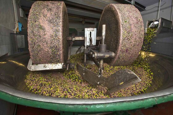 2414057d-7004-43dd-9fb2-4aa028a1d9ef