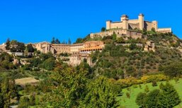 58209bb8-25c3-4d01-8272-8d25862d6b3e