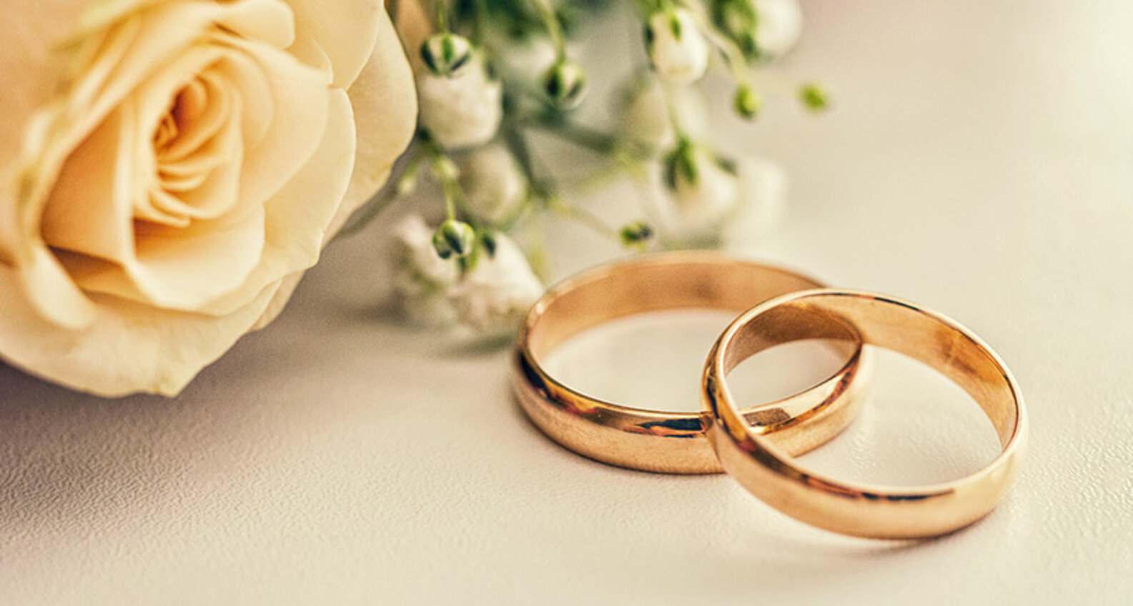 bb5d5a77-40d7-4e90-82ba-16b2181cd5bc