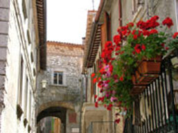 57693031-05cd-4000-8304-ed06c8b83028