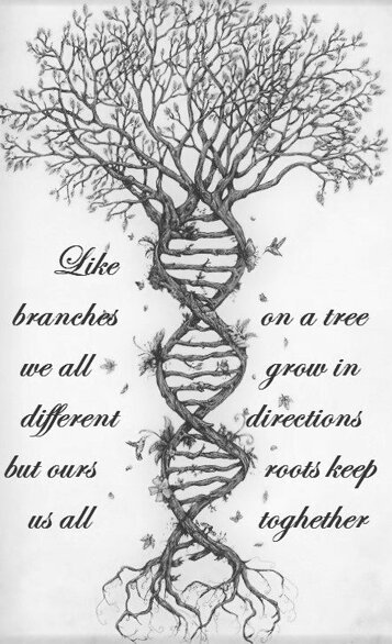 ed74da40-48ed-409a-8ae7-7879a37894d5