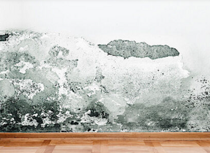 ecf8bbf6-f44e-4f91-a8fa-beb1232125b3 ecf8bbf6-f44e-4f91-a8fa-beb1232125b3