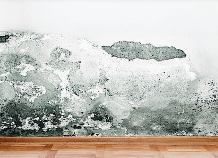 33965c39-17ef-4ca5-aba9-d3cc623ef8f8 33965c39-17ef-4ca5-aba9-d3cc623ef8f8