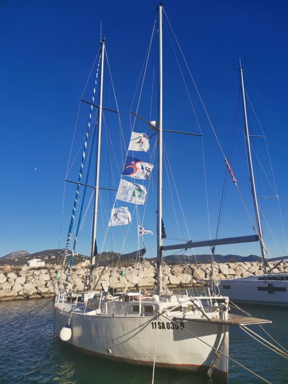 2ab96ad7-ea30-4c1b-93f7-4d91f58e4ab7.jpeg 2ab96ad7-ea30-4c1b-93f7-4d91f58e4ab7.jpeg