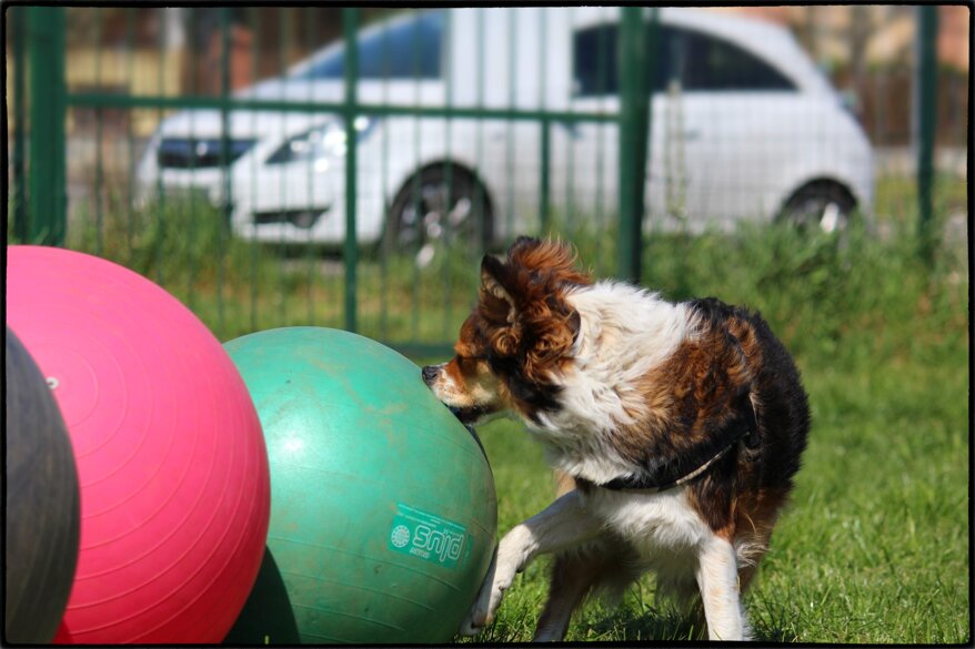 b6c6751e-d499-40d1-937c-5972a1745125