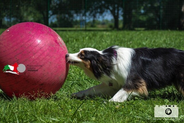 9fbc1b22-a126-418f-8863-d5efc83f3bed