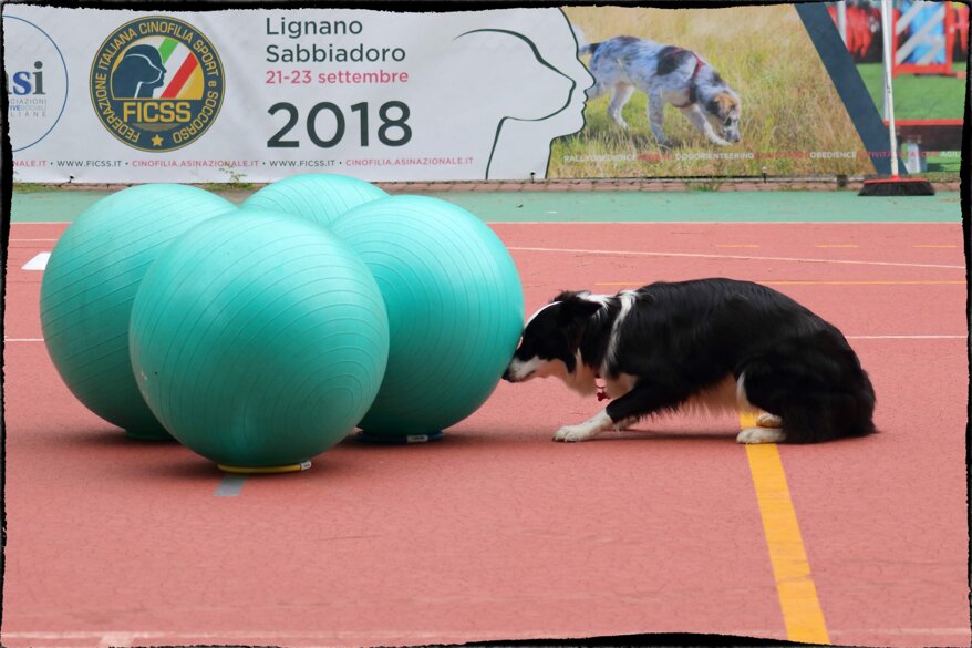 c91a0034-32e1-4c13-865d-856bcc4a9cac