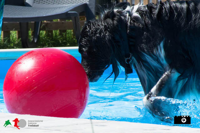 3d421f35-5d10-4dc4-931f-ecfa1e2d1d03