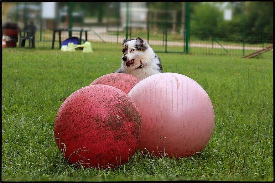 d1ae8281-54a6-41aa-9e9c-b73a11cb5913