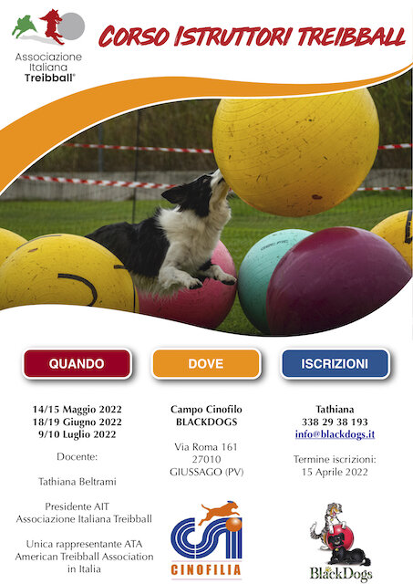 98b2c38a-8831-4110-ae8a-17371e6258fb