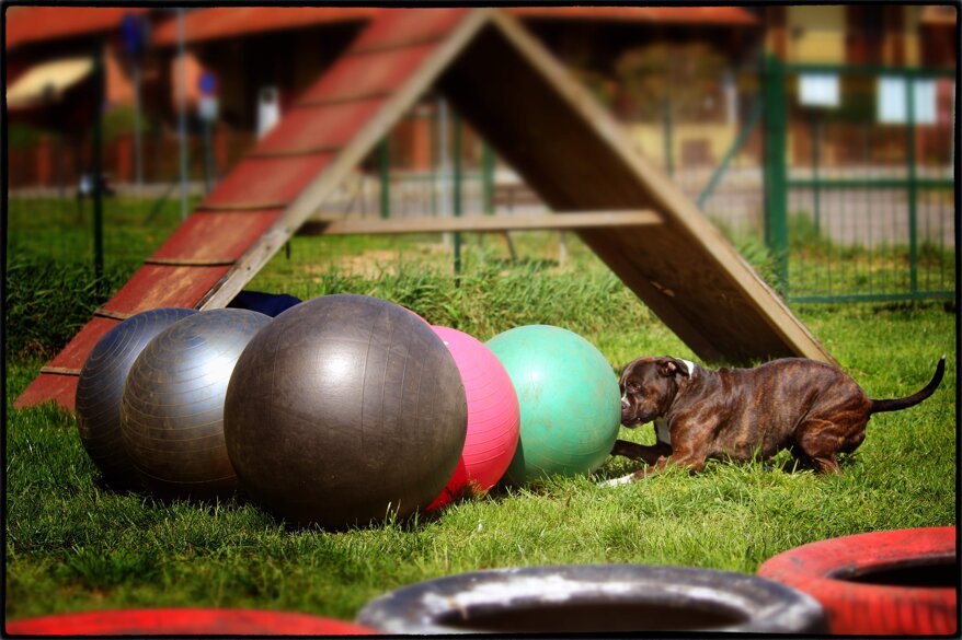 188ee2a7-a9cc-4555-a6d2-d6244aded682