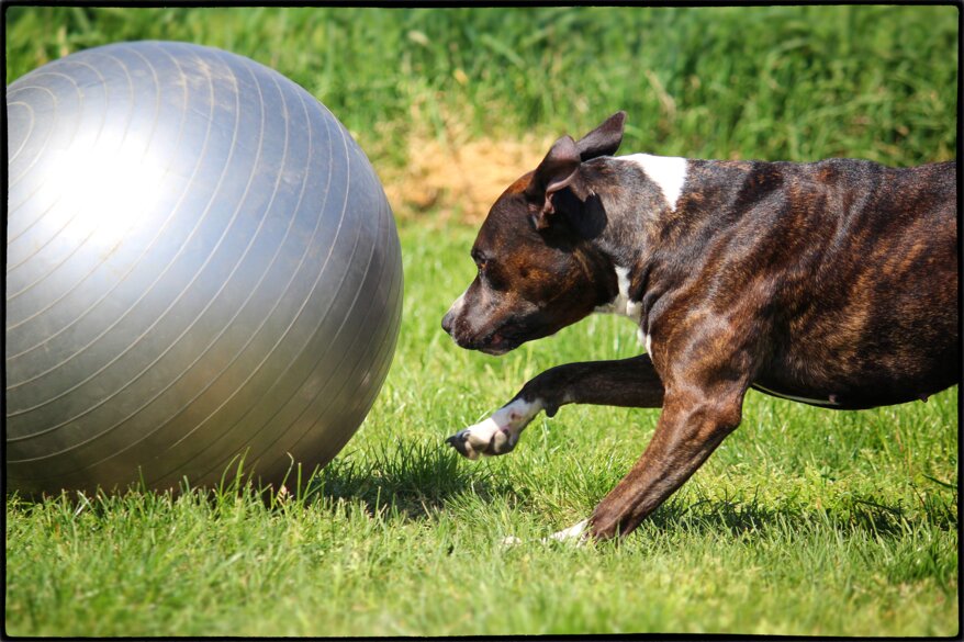 eaffff40-8fd5-46e1-b8a8-a19d99736677