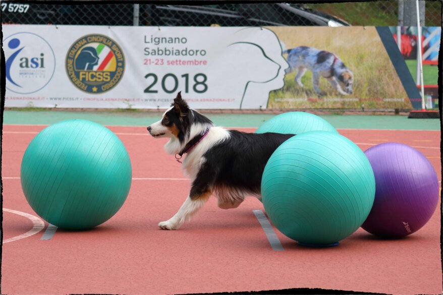 279ecbf0-0997-4574-a9c5-f58f9501ff7c 279ecbf0-0997-4574-a9c5-f58f9501ff7c