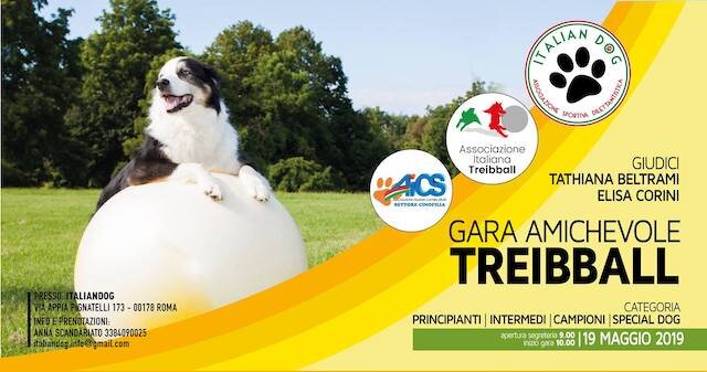 8070d0f6-aa04-47de-a469-1208c6cddf51