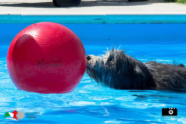 b3428d7f-3936-4ea1-8616-b990c7cd3099