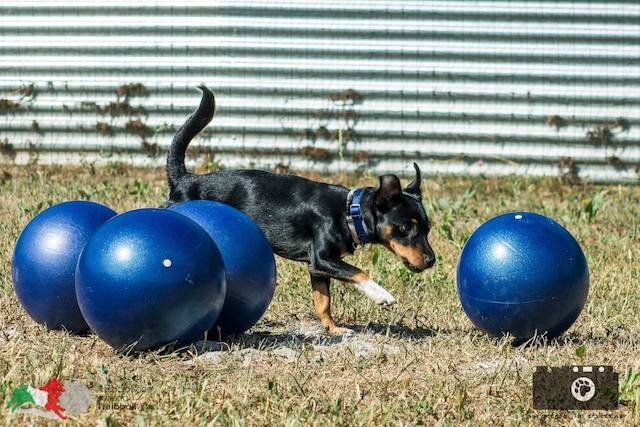 ebc1663f-c032-4159-b062-0480708d097f