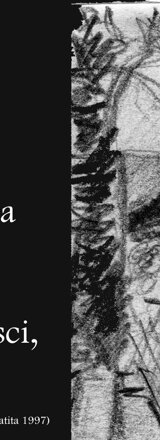 capraia-_vista_porto_25x35_matita_1997