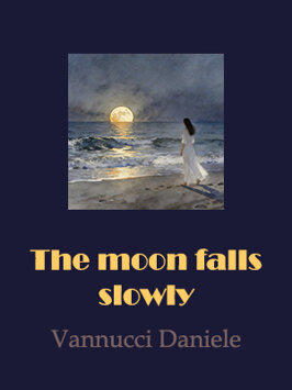 the moon falls slowly- sito web.jpeg