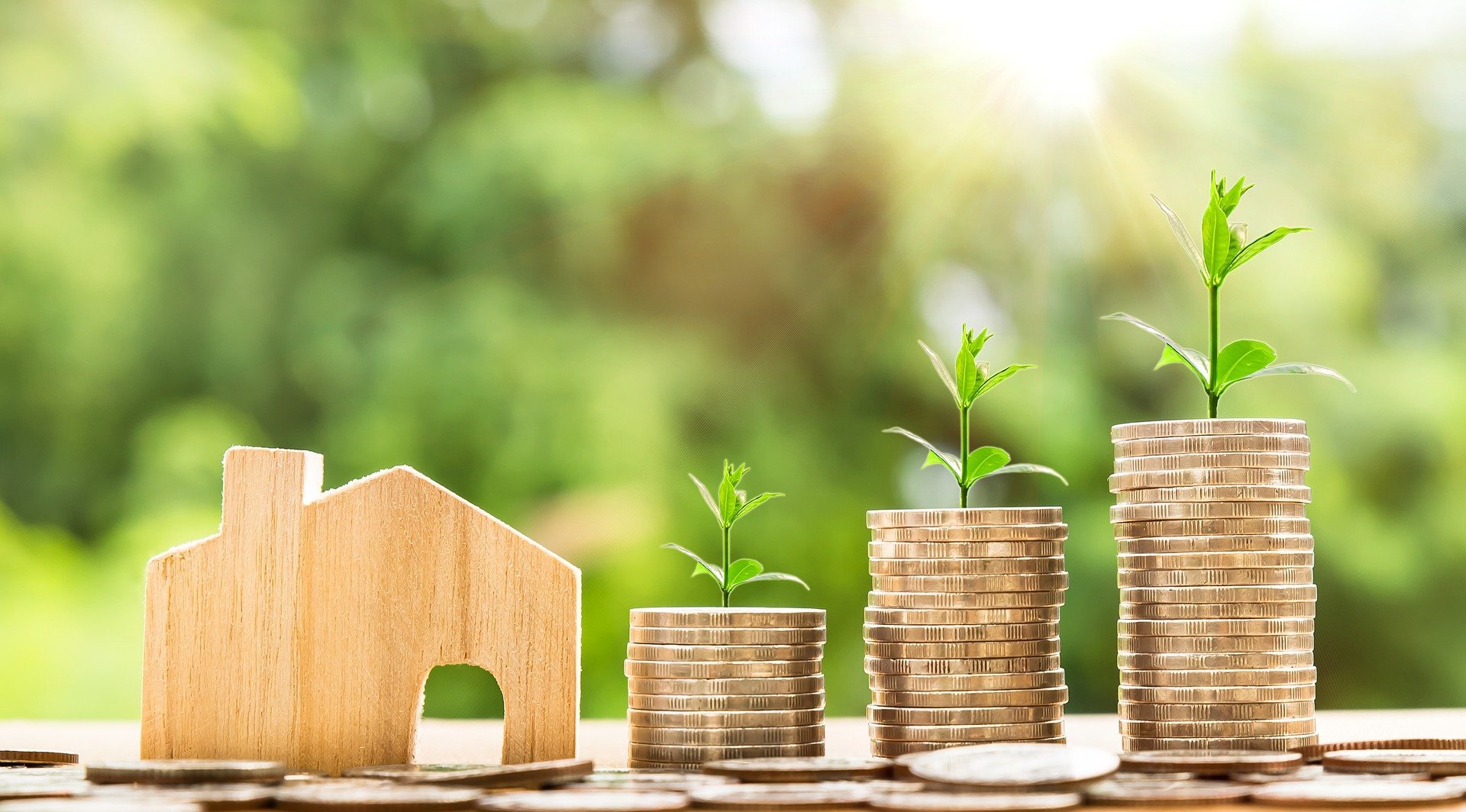 BONUS CASA E INVESTIMENTI IMMOBILIARI BONUS CASA E INVESTIMENTI IMMOBILIARI