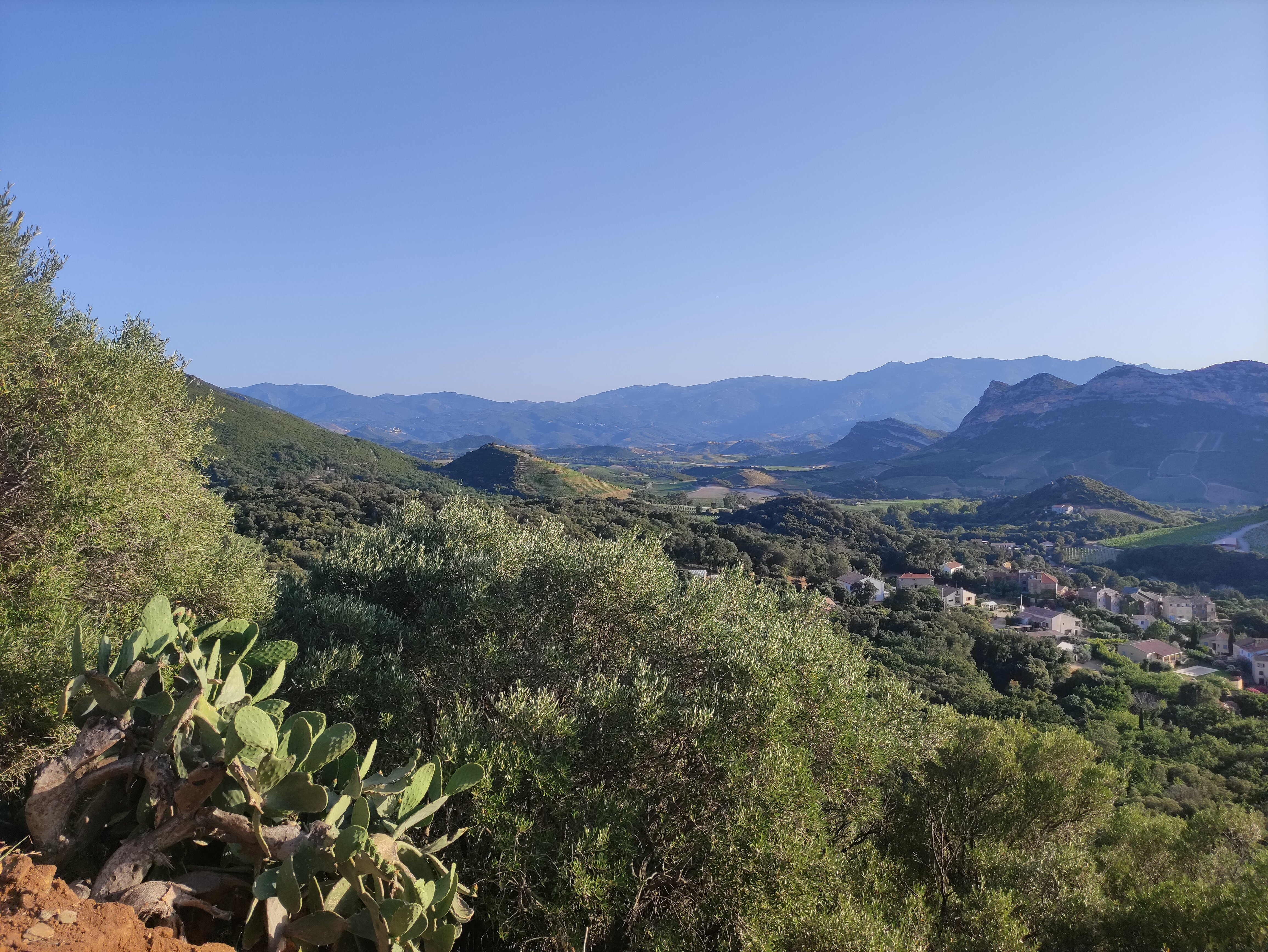 Corsica di vini e di paesaggi autentici | Viaggio 2026