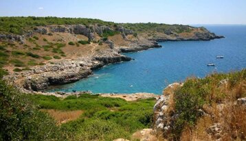 a5658ed1-d693-4193-8b97-32a222cced13