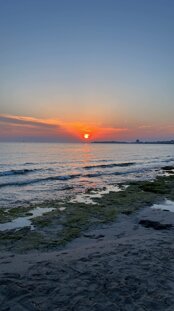 77bffef3-5042-41ae-837e-71568c11da13.jpeg 77bffef3-5042-41ae-837e-71568c11da13.jpeg