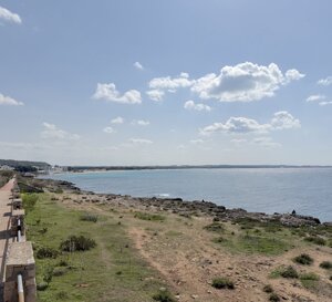 img_0497.jpeg img_0497.jpeg