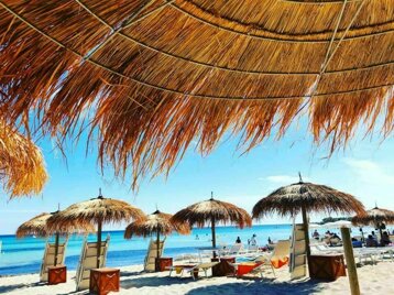 ef3ffa2a-4a5a-44ff-ab15-02a6aac2a919