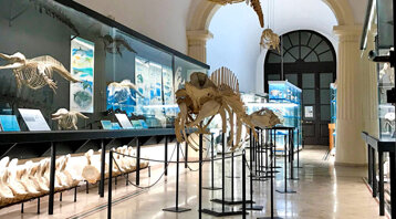 e56db7a5-24e7-44b8-96b7-44cffa6b7ef1