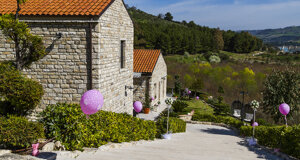 714b36d3-1518-4f79-8ea8-6559103b6b82