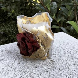 img_4595.jpeg