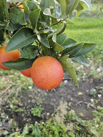 9d84f996-0fd3-4c54-8f1c-63afc121f180