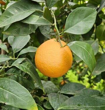 9d494bc6-a4de-4ef8-b730-91e7d5c58a38