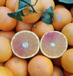 arance-tarocco-da-spremuta