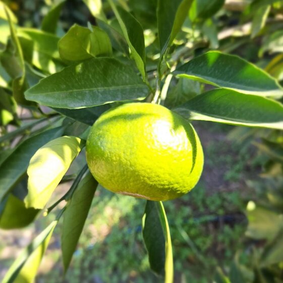 759f598d-d110-456d-b65b-a67d2ee1efe1