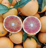 arance-tarocco-gallo