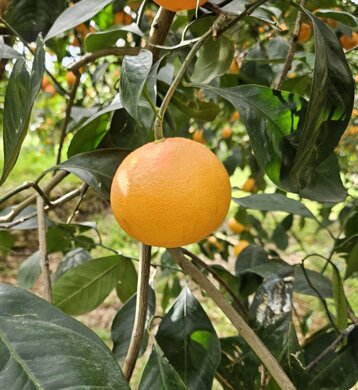 700430bc-d465-4642-afe9-39ec71b2f571