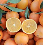 arance-navellino-da-spremuta