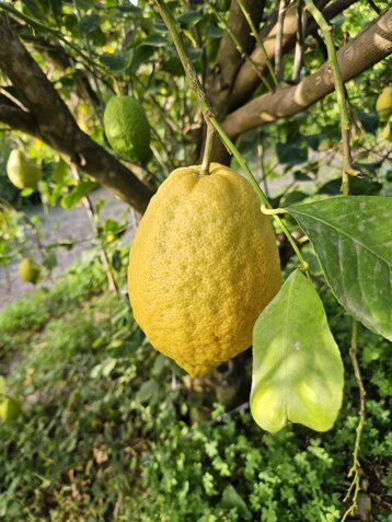 e6bc3d76-11e9-4805-aa86-a94d99515a1a