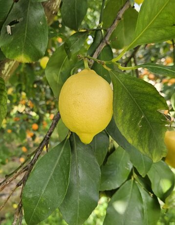 f3b62285-f73f-4e57-9df2-07213e07f7e1