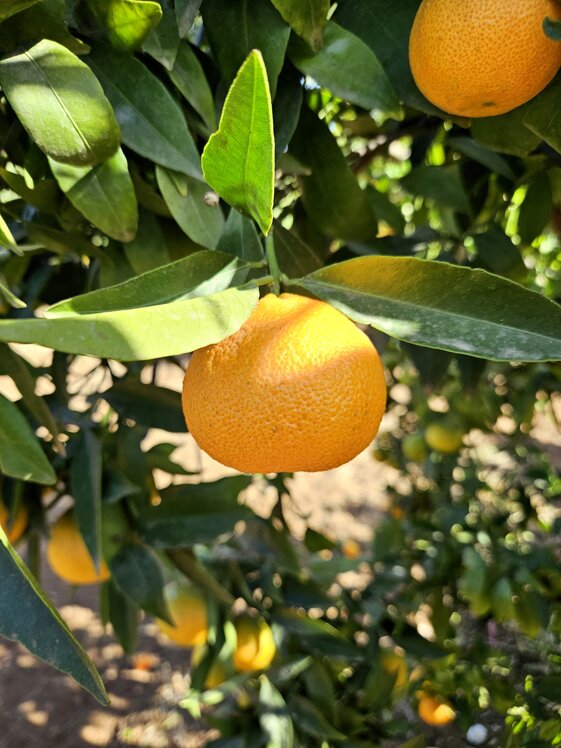 e5c61ab2-de8b-4800-a5ba-e71c5903f25a