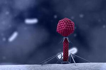 960a0235-c08d-405a-87ca-9d43fe30aea6