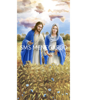 CAMPO DI GRANO 5