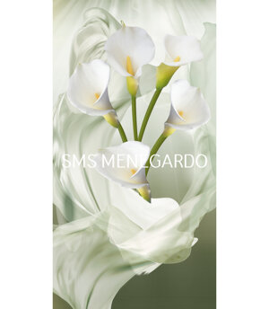SERIE FIORI 7