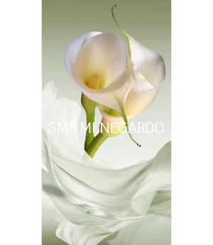 SERIE FIORI 5