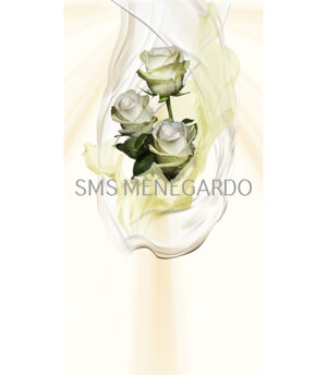 SERIE FIORI 1