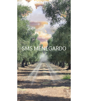 VIALE ALBERATO 14