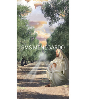VIALE ALBERATO 15