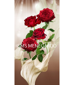 SERIE FIORI 13